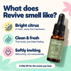 Revive scent profile: bright citrus, clean and fresh, softly inviting.