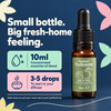 Revive 10ml concentrated essential oil blend; start with 3–5 drops in your diffuser.